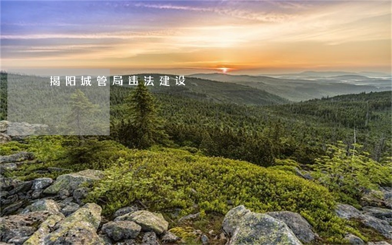 揭阳城管局违法建设