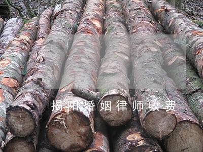 揭阳婚姻律师收费 揭阳婚姻律师收费