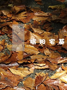 揭阳宅基地房屋拆迁律师事务所 揭阳宅基地房屋拆迁律师事务所