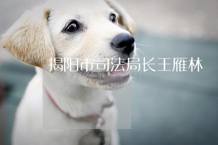 揭阳市司法局长王雁林 揭阳市司法局长王雁林