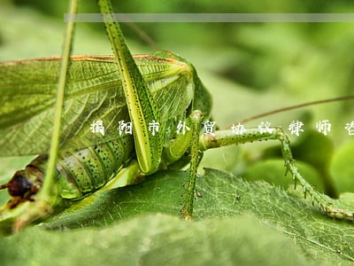 揭阳市外贸协议律师咨询 揭阳市外贸协议律师咨询
