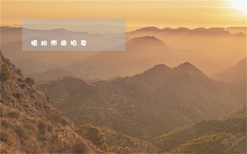 揭阳市房拍卖