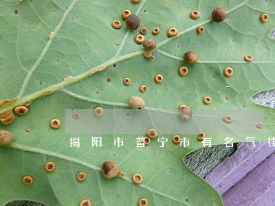 揭阳市普宁市有名气律师 揭阳市普宁市有名气律师