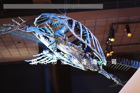揭阳市法律咨询公司 揭阳市法律咨询公司