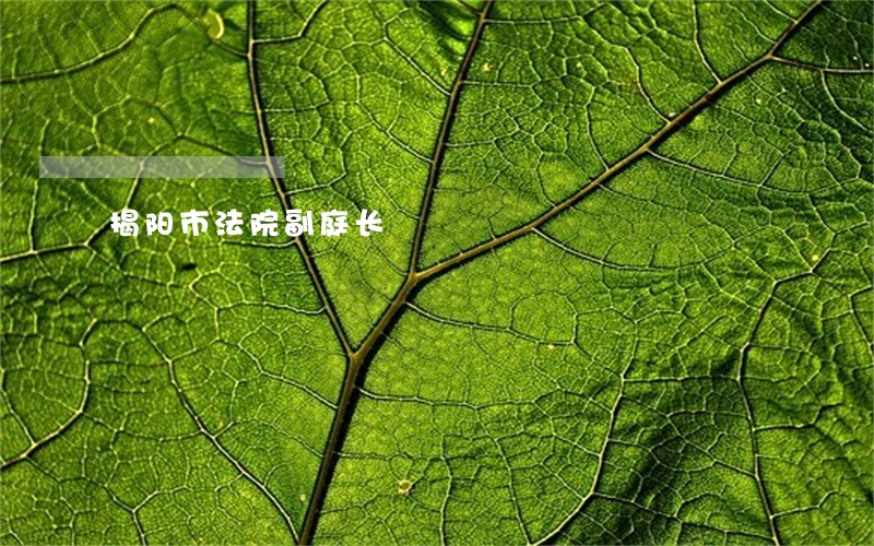 揭阳市法院副庭长 揭阳市法院副庭长