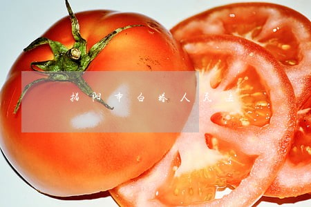 揭阳市白塔人民法 揭阳市白塔人民法