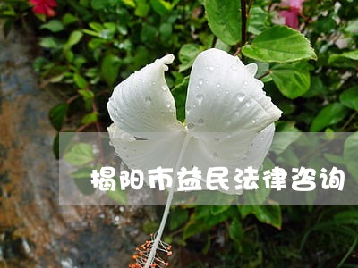 揭阳市益民法律咨询 揭阳市益民法律咨询