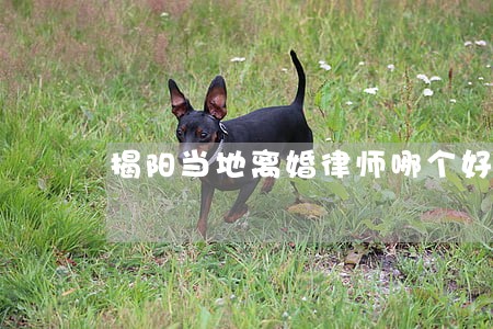 揭阳当地离婚律师哪个好