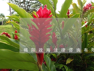 揭阳政海法律咨询有限公司