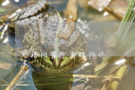 揭阳普宁有律师吗 揭阳普宁有律师吗