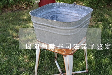 揭阳有哪些司法亲子鉴定中心