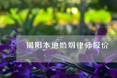 揭阳本地婚姻律师报价 揭阳本地婚姻律师报价