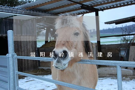 揭阳桂岭镇违法建房 揭阳桂岭镇违法建房