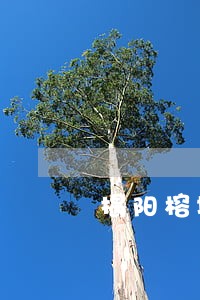 揭阳榕城区信用逾期黑名单 揭阳榕城区信用逾期黑名单