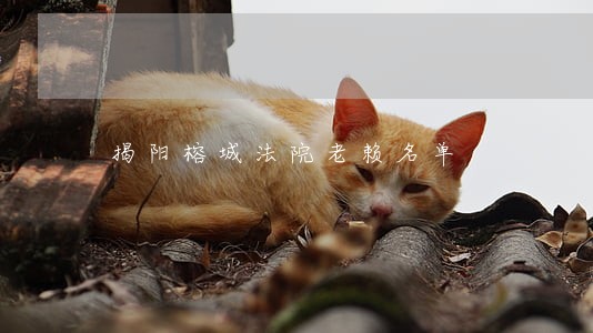 揭阳榕城法院老赖名单