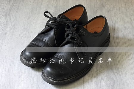 揭阳法院书记员名单