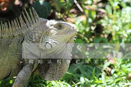 揭阳法院书记员笔试