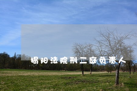 揭阳法院刑二庭负责人 揭阳法院刑二庭负责人