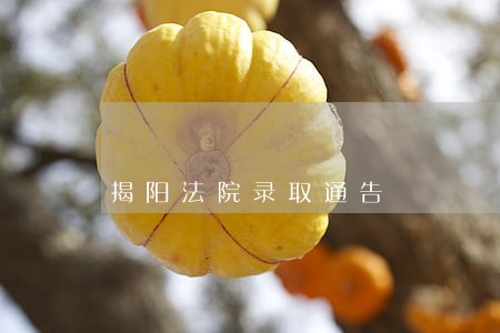 揭阳法院录取通告 揭阳法院录取通告