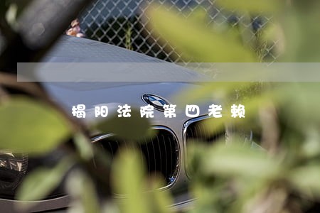 揭阳法院第四老赖