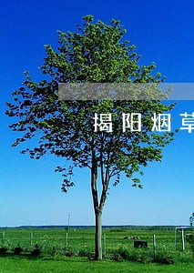 揭阳烟草局法规科 揭阳烟草局法规科