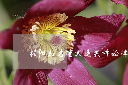 揭阳知名重大过失诉讼律师 揭阳知名重大过失诉讼律师