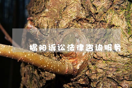 揭阳诉讼法律咨询服务 揭阳诉讼法律咨询服务