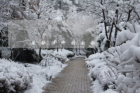 援助律师维权忙 援助律师维权忙