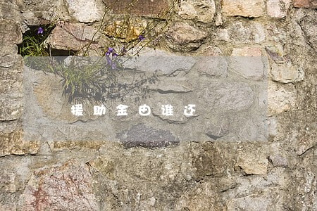 援助金由谁还 援助金由谁还