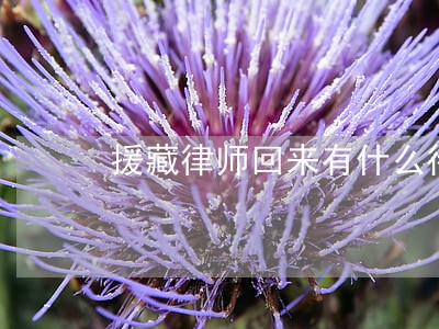 援藏律师回来有什么待遇 援藏律师回来有什么待遇