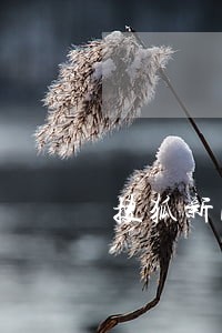 搜狐新闻违法购汇 搜狐新闻违法购汇