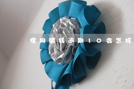 搜狗借钱逾期10会怎样 搜狗借钱逾期10会怎样