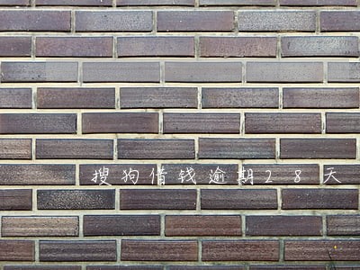 搜狗借钱逾期28天 搜狗借钱逾期28天