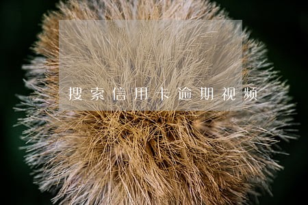 搜索信用卡逾期视频 搜索信用卡逾期视频