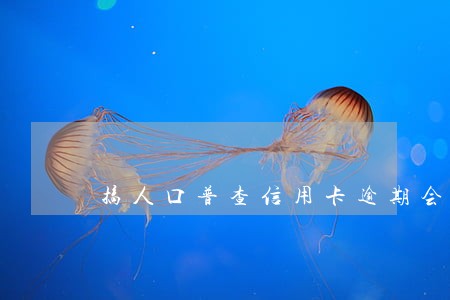 搞人口普查信用卡逾期会有影响吗 搞人口普查信用卡逾期会有影响吗