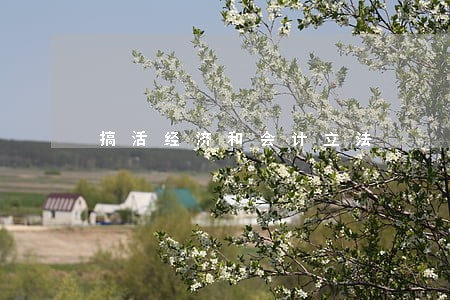 搞活经济和会计立法 搞活经济和会计立法
