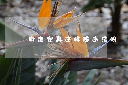 搬走家具这样做违法吗 搬走家具这样做违法吗