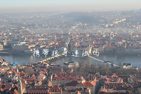 携带狼牙违法吗