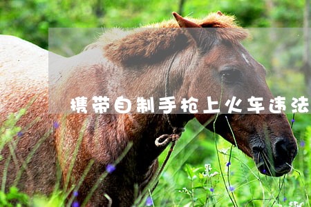 携带自制手枪上火车违法