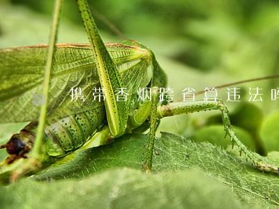 携带香烟跨省算违法吗 携带香烟跨省算违法吗