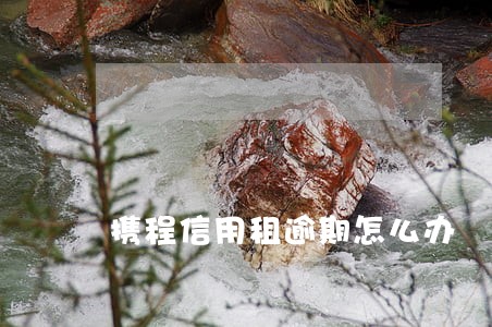 携程信用租逾期怎么办 携程信用租逾期怎么办
