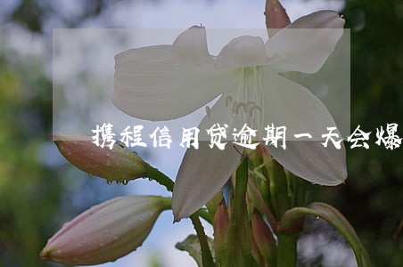 携程信用贷逾期一天会爆通讯录吗 携程信用贷逾期一天会爆通讯录吗