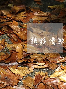 携程借款逾期2个月