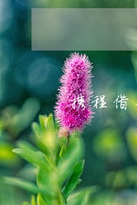 携程借钱逾期1天内还 携程借钱逾期1天内还