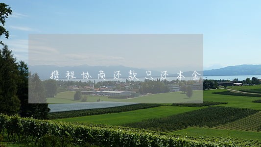 携程协商还款只还本金