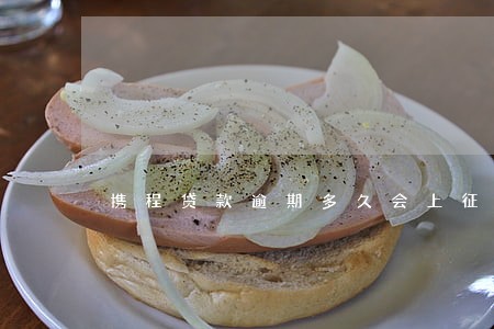 携程贷款逾期多久会上征信 携程贷款逾期多久会上征信