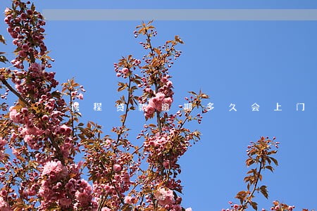 携程贷款逾期多久会上门 携程贷款逾期多久会上门
