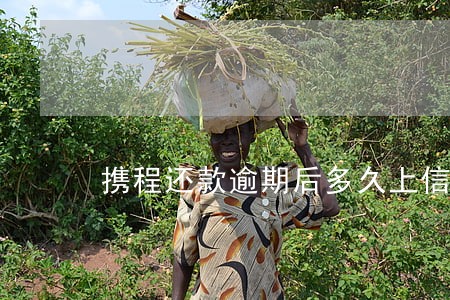 携程还款逾期后多久上信用记录 携程还款逾期后多久上信用记录