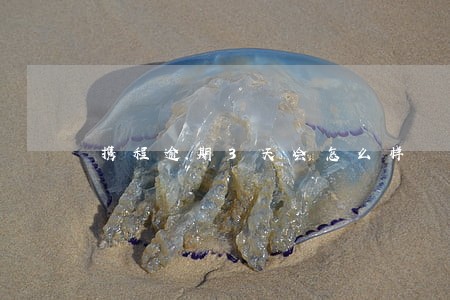 携程逾期3天会怎么样 携程逾期3天会怎么样