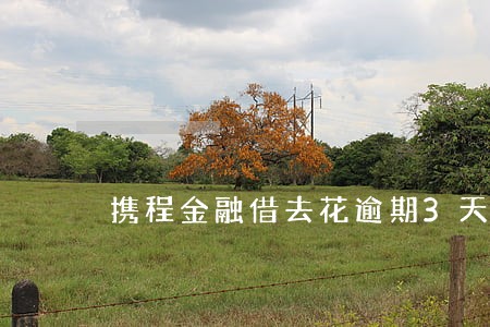 携程金融借去花逾期3天 携程金融借去花逾期3天